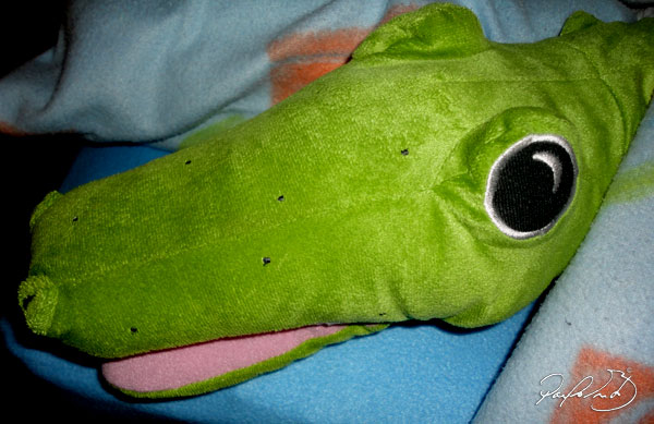 a terrível e a mascote