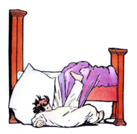 little_nemo